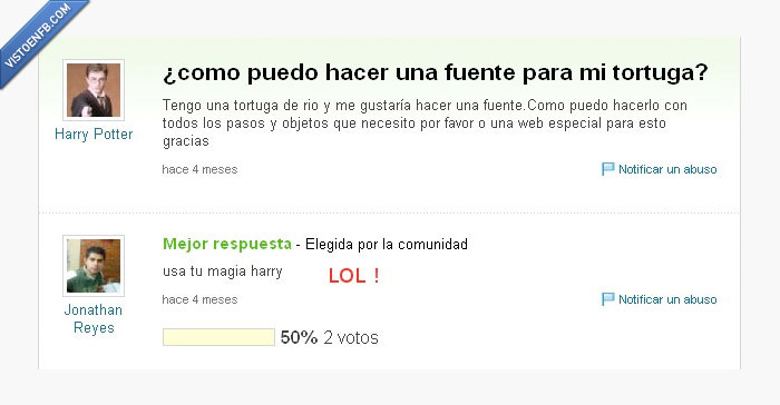 tortugas,magia,loling,fuente