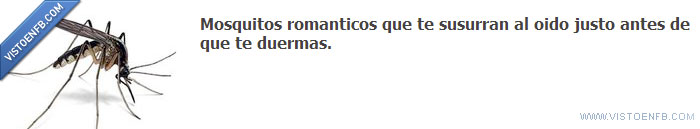 susurrar,románticos,oído,mosquitos,facebook,dormir