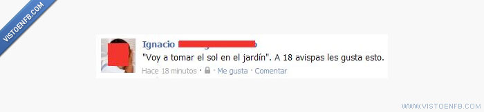me gusta,facebook,estado,avispas