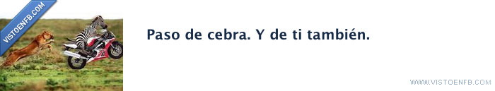paso de cebra,de ti tambien