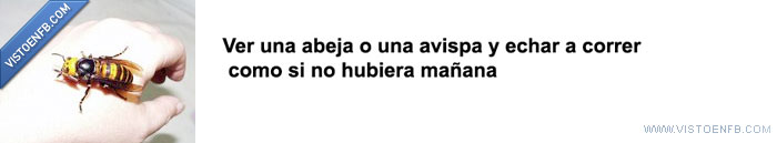 socorro,quemar la casa,huyamos,fuego,correr,corre forest corre,avispa,ahhhhh,abeja,yao ming