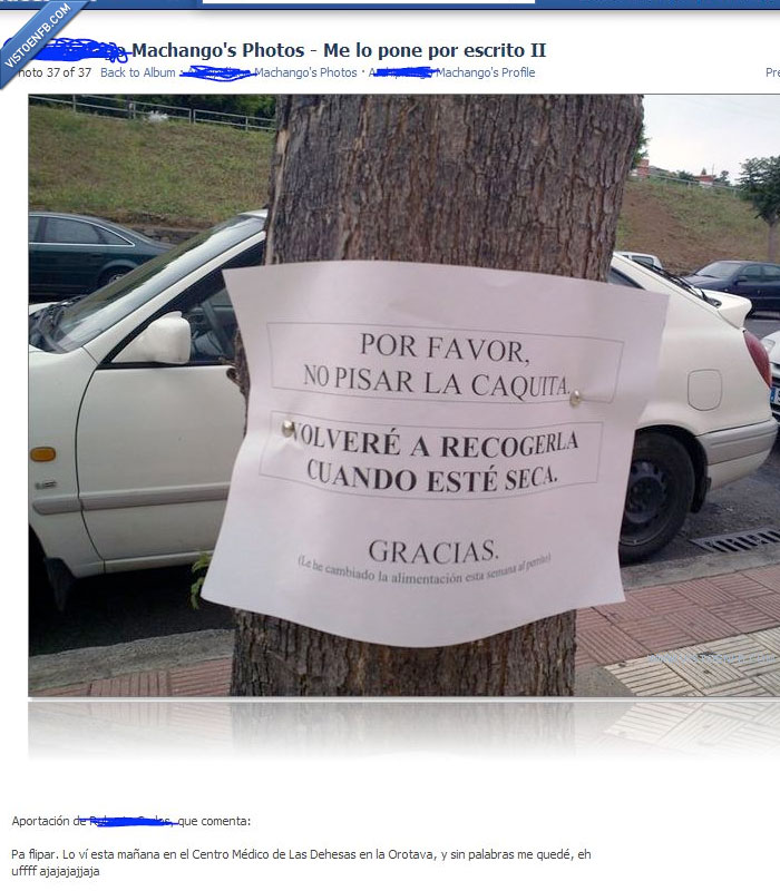 perro,mensaje,cartel,caca,aviso