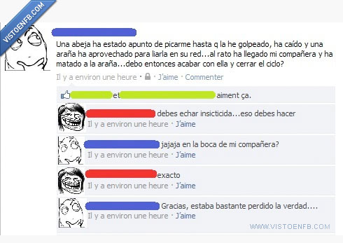 respuesta,pregunta,matar,insecticida,araña,abeja