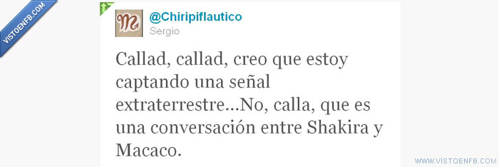 twitter,shakira,macaco,letra,canciones