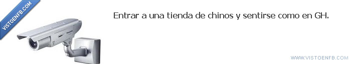 rous,GH,chino,camara