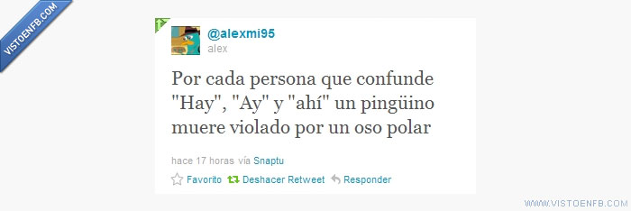 pingüinos,oso,hay,ay,ahi