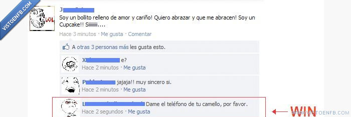 win,facebook,drogas,cupcake,camello