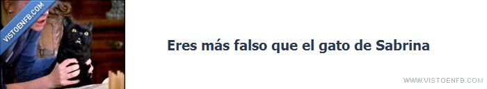 Sabrina,Muñeco,Gato,Falso