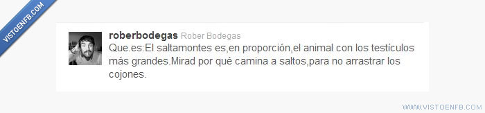 bodegas,rober,saltamontes,twitter