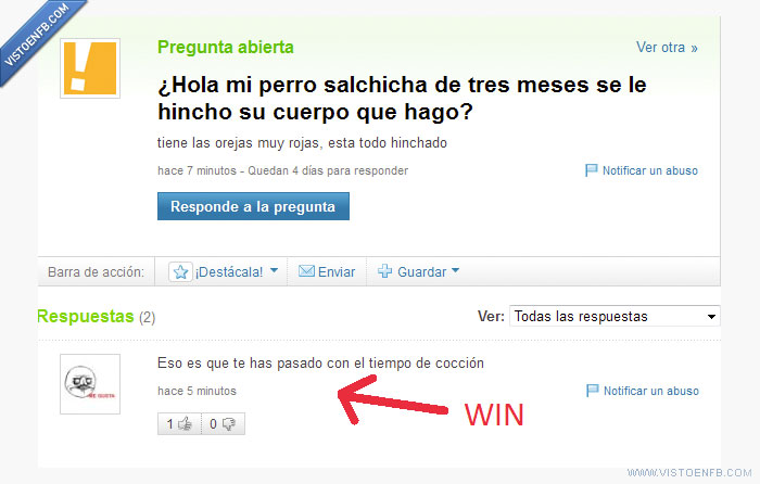 yahoo,win,salchicha,respuestas,perro