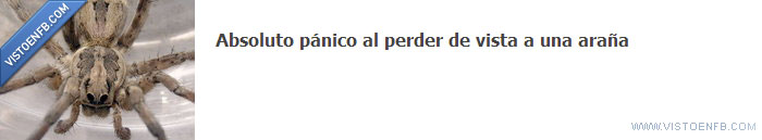 donde estas,araña,ah