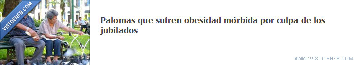obesidad,viejos jubilados,palomas