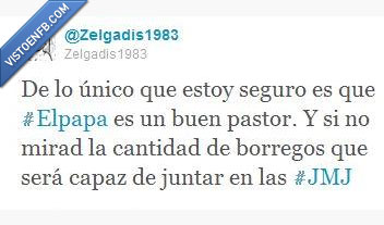 borregos,papa,pastor