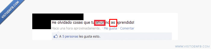 cani,mala ortografia,cateto,estado