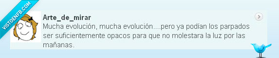 oscuridad,ojos,twitter,evolución,párpados