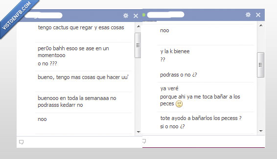 ironia,cactus,regar,excusas,peces,bañar