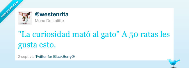 147137 - Gatos y ratas