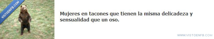 sensual,mujer,oso,tacones