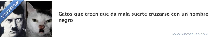 gatos,hitler,racismo,negros,fan,pensamiento