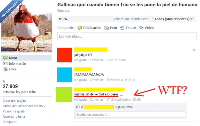 Gallina,humano,wtf