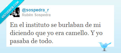 pasar de todo,camello