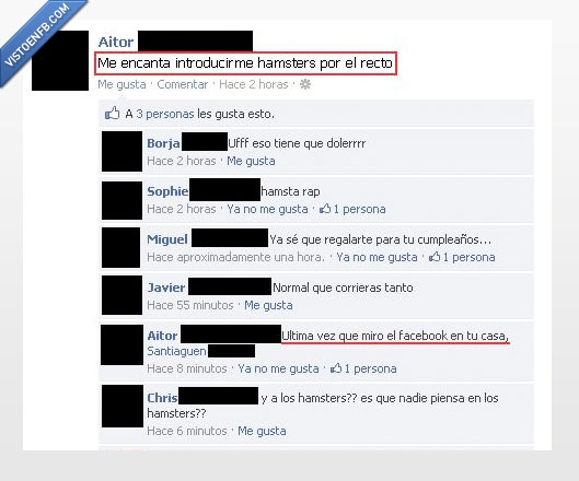 recto,hamster,facebook