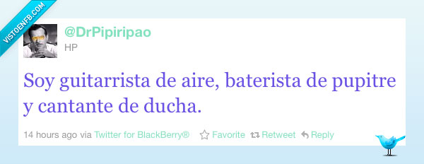gitarrista,de aire,baterista,de pupitre,cantante,de ducha.