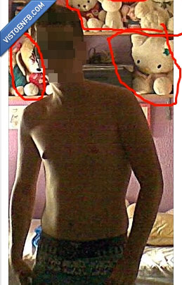 cani,malote,peluches