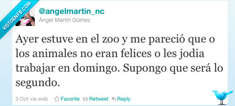 zoo,animales,angel martin,domingo