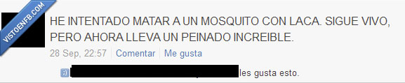 peinado,laca,mosquitos