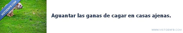 casa ajena,cagar,casas