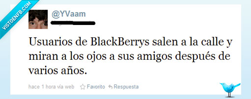 ojos,amigos,caida,servidor,bb