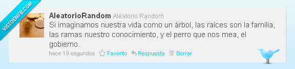 simil,arbol,vida,gobierno,perro,mear