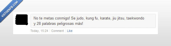 aficionados,kung fu,artes marciales,palabras