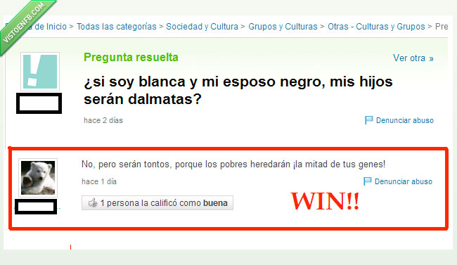 yahoo respuestas,dálmata,tonta,hijos