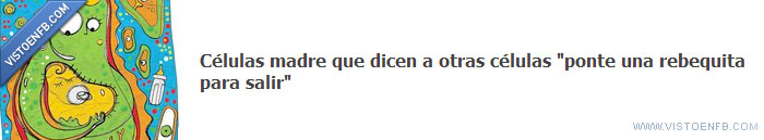 rebeca,celulas madre,chaqueta