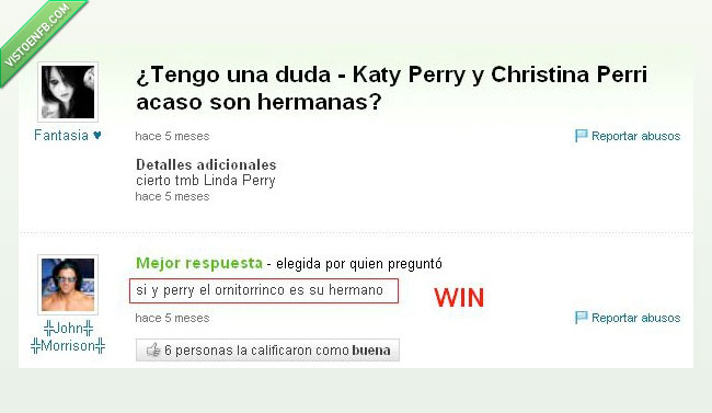 hermanos,ornitorrinco,katy perry