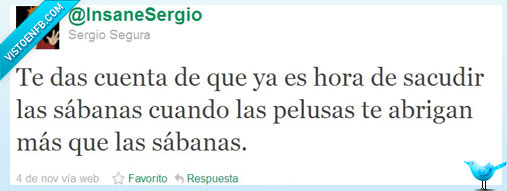 pelusas,sábanas,guarro,limpiar,abrigo,cama