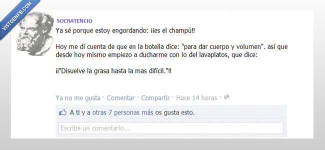 gordo,engordar,adelgazar,filosofia