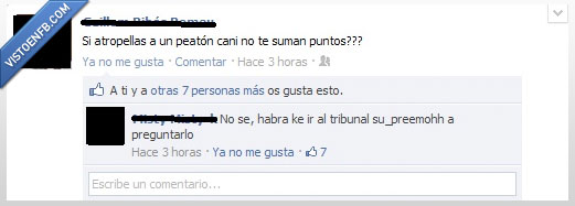 cani,tribunal,atropellar