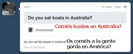 preguntas,koala,australia,comer