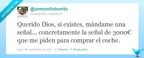 pide,señar,dios,concesionario,monito