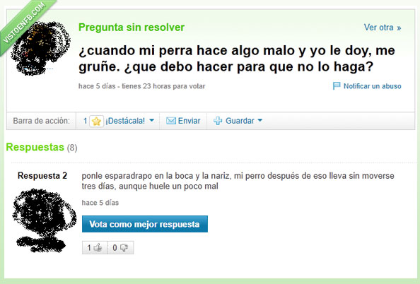 yahoo,yahoo preguntas y respuestas,perro