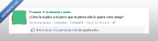 caliente,dueño,pierna,perro