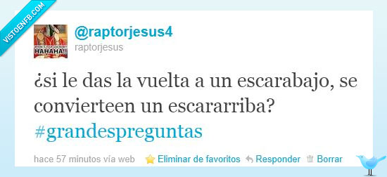 dar la vuelta,boca arriba,escarabajo