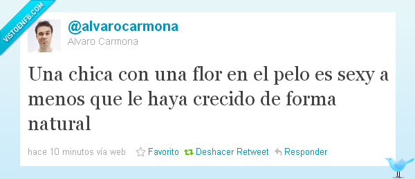 Alvaro Carmona,flor,pelo,crecer,forma,natural