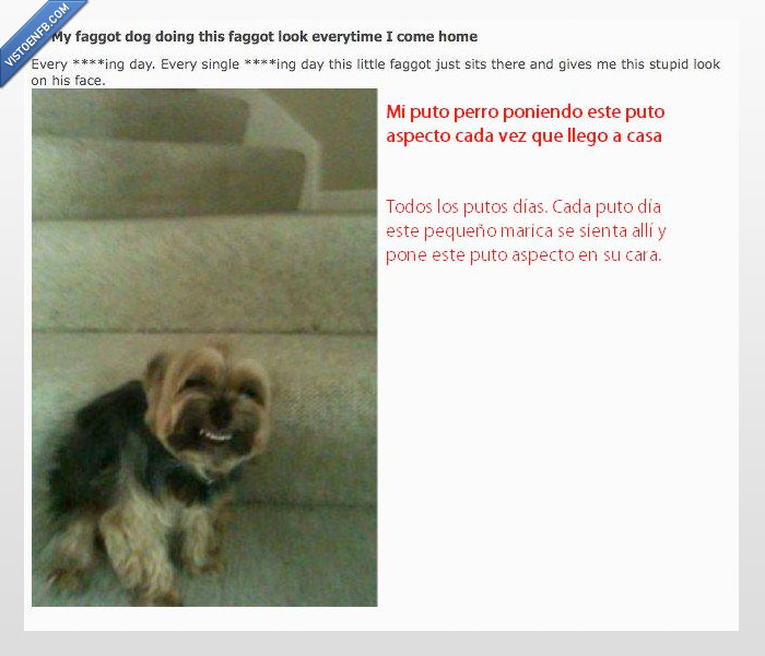 cara,perro,casa,dientes,sonrisa