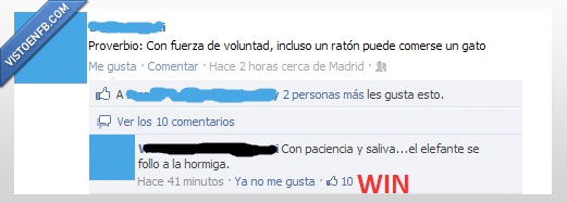 proverbio,elefante,hormiga