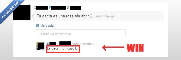 piropo,cara,rosa,capullo,Win,fail