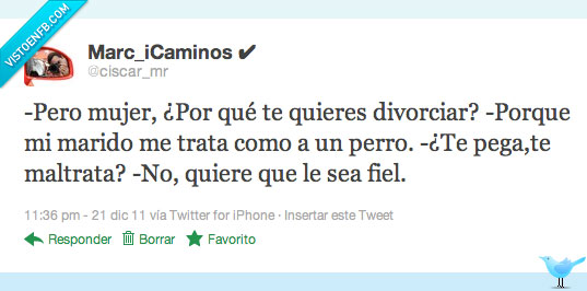 fiel,perro,divorcio,twitter